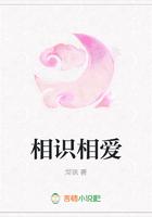 相识相爱相守免费阅读