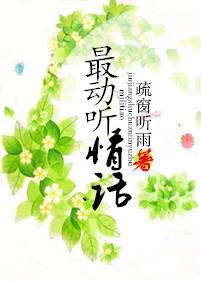 动听情话的句子