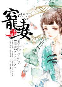 重生之宠妻入骨
