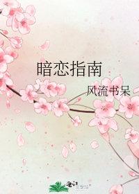 暗恋指南 风流书呆
