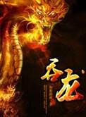 大龙珠是什么意思