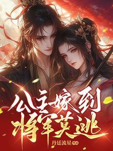 公主嫁到将军府电视剧